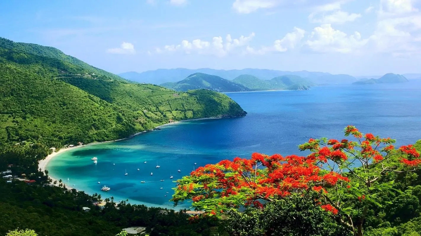 高端智慧智能系统